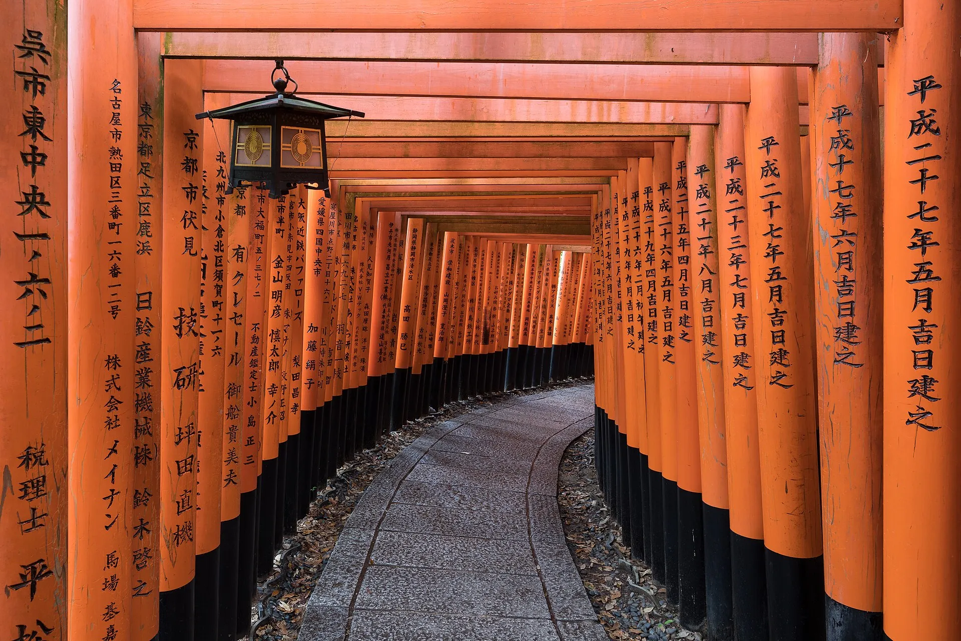 Lantern-lit corridor of vermilion torii gates at Fushimi Inari